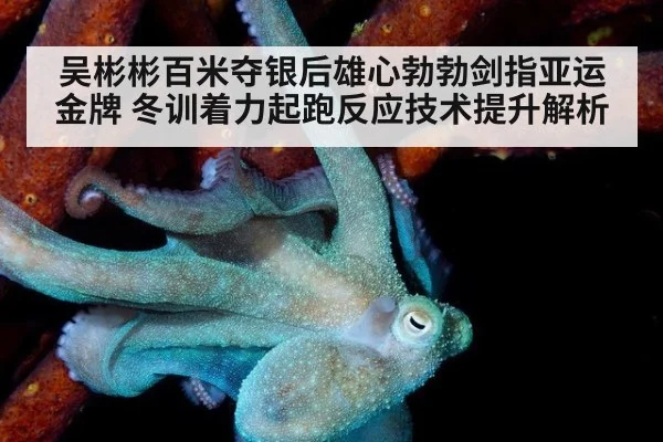 吴彬彬百米夺银后雄心勃勃剑指亚运金牌 冬训着力起跑反应技术提升解析