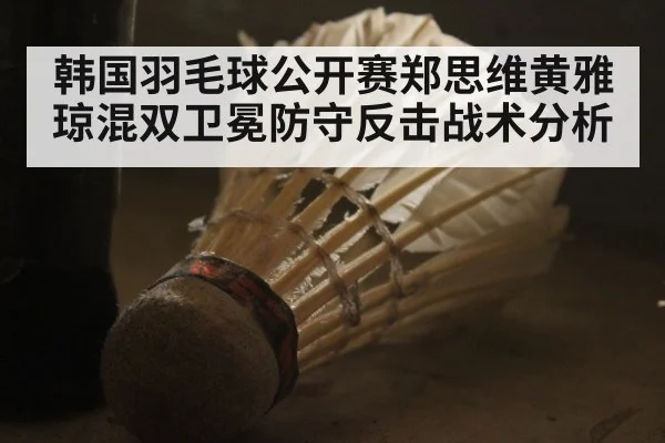韩国羽毛球公开赛郑思维黄雅琼混双卫冕防守反击战术分析